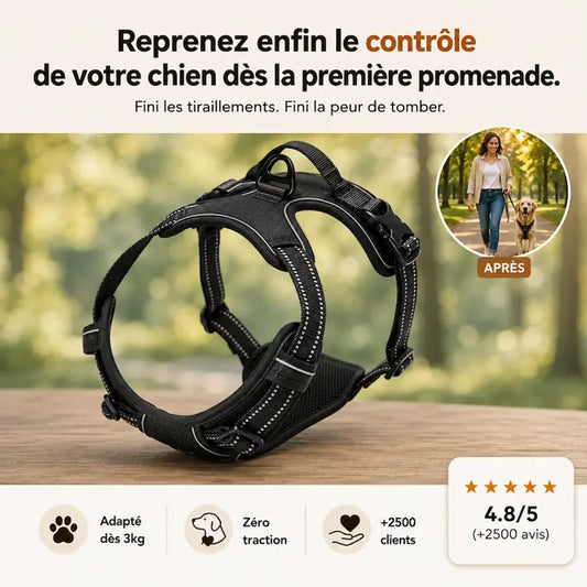 https://cdn.dropmagic.ai/medias/cfa3bbe4-0049-4ddd-bb7d-d1a2b7e342c3.webp