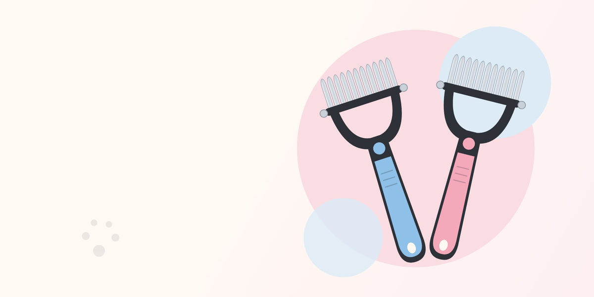Brosses démêlantes Hellomiva bleue et rose